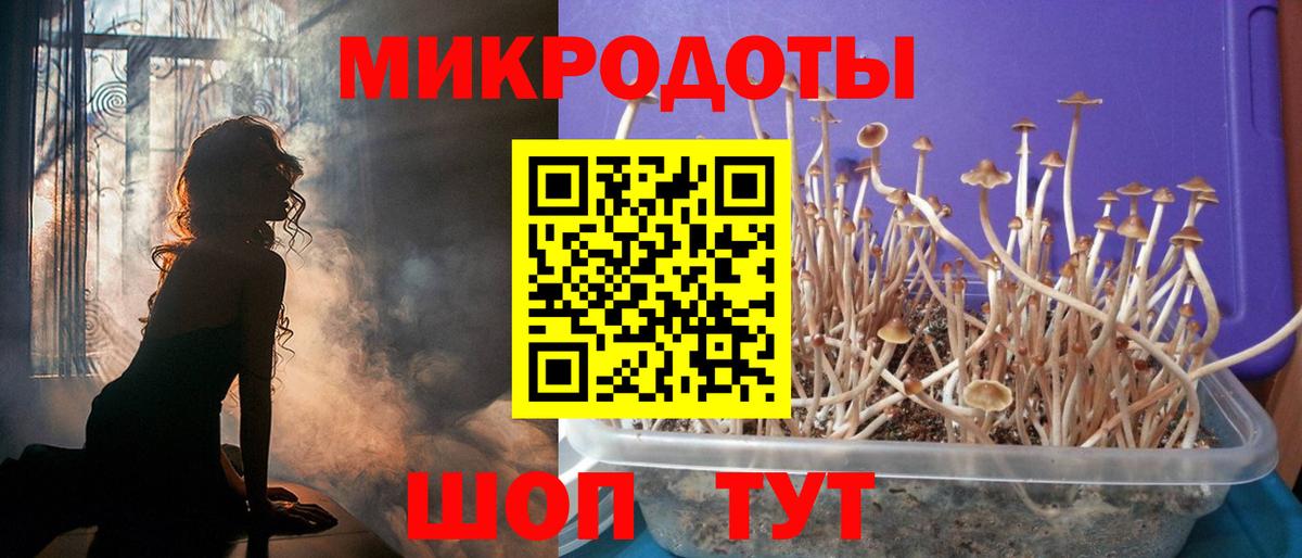 Заречный  Галлюциногенные грибы мицелий  Вход с VPN 